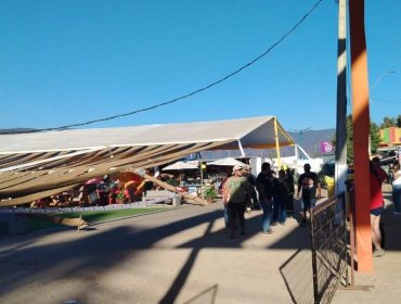 Emergencia en la "feria más larga de Chile": Se desplomó la carpa que alberga la Expo La Ligua
