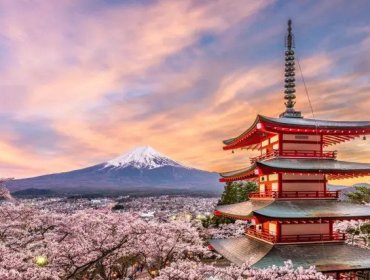 Cancelan un famoso festival de los cerezos de Japón ante el mal comportamiento de los turistas