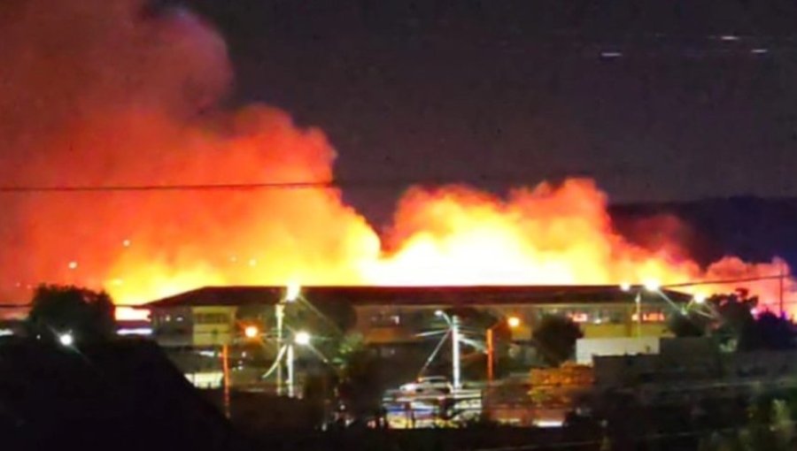 Bomberos combaten incendio forestal en cercanías del colegio Héroes de Chile en Limache