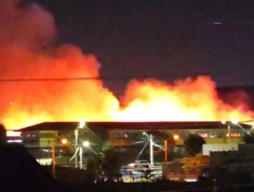 Bomberos combaten incendio forestal en cercanías del colegio Héroes de Chile en Limache