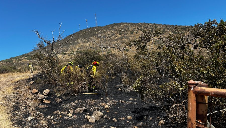 Detienen a sujeto que tras fumar cigarrillos habría iniciado incendio forestal que consumió 2.400 m2 en Papudo