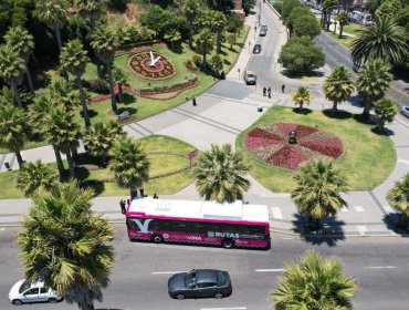 Más de 10 mil personas han viajado en bus eléctrico municipal “Visita Viña” para conocer la ciudad