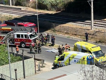 Persona de sexo masculino fallece tras lanzarse desde el Viaducto El Salto en la ruta Las Palmas en Viña del Mar