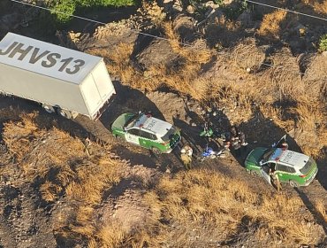 Detienen a sujeto y recuperan camión robado con 18 toneladas de palta en la Ruta 5 Norte