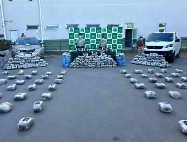 Decomisan cerca de 900 kilos de marihuana durante control vehicular en Nogales: Tres extranjeros fueron detenidos