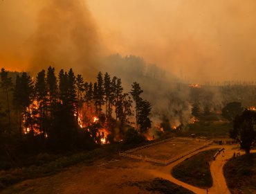 Autoridades decretan Botón Rojo en el Bío Bío ante aumento del peligro de incendios