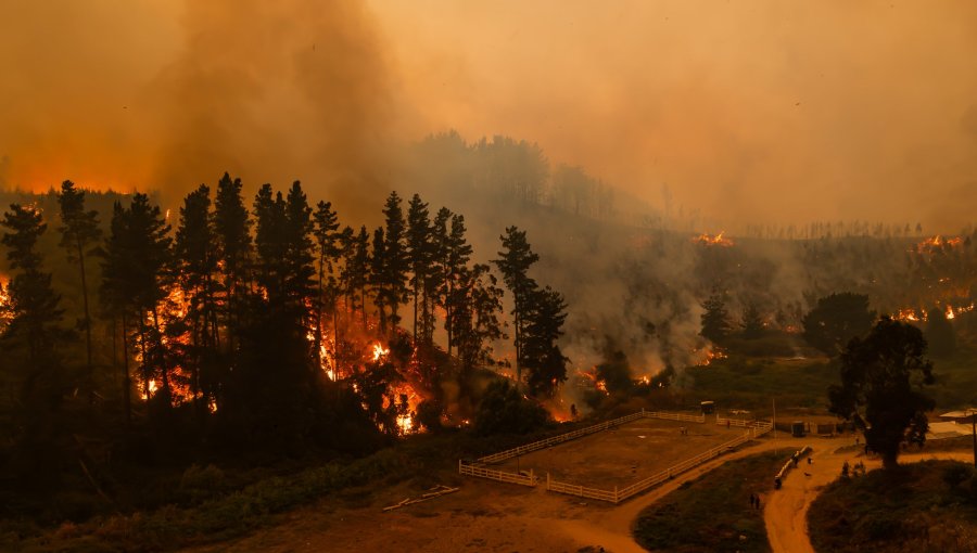 Autoridades decretan Botón Rojo en el Bío Bío ante aumento del peligro de incendios