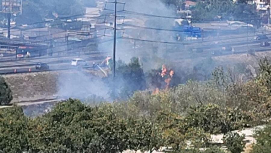 Incendio forestal moviliza a Bomberos cerca del Parque de los Reyes en Santiago