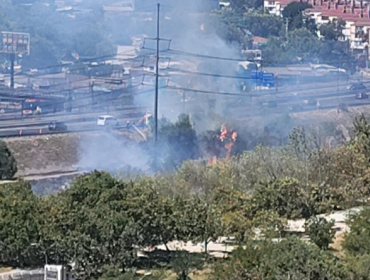 Incendio forestal moviliza a Bomberos cerca del Parque de los Reyes en Santiago