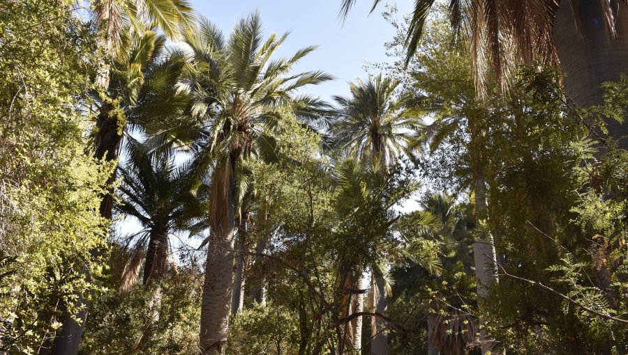 Cierran el Parque La Campana y la Reserva Lago Peñuelas por riesgo de incendios forestales