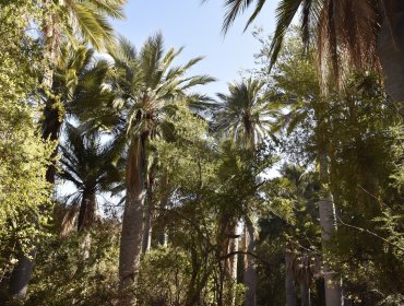 Cierran el Parque La Campana y la Reserva Lago Peñuelas por riesgo de incendios forestales