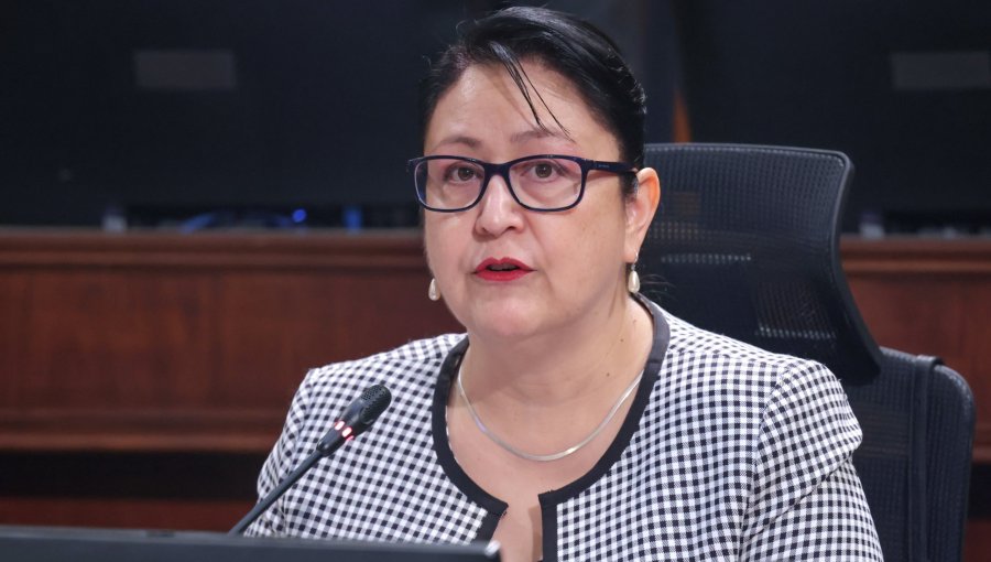 Corte acoge a trámite recurso contra Dorothy Pérez tras solicitud de entrega de datos de niños trans al Minsal