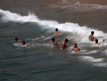 Alerta en el litoral: Coliformes fecales superan la norma en playas de Valparaíso y Viña del Mar