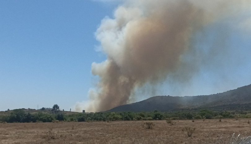 Bomberos y personal de Conaf combaten incendio forestal en sector La Estancilla de Puchuncaví