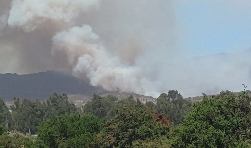 Declaran Alerta Roja para Puchuncaví por incendio forestal cercano a sectores poblados