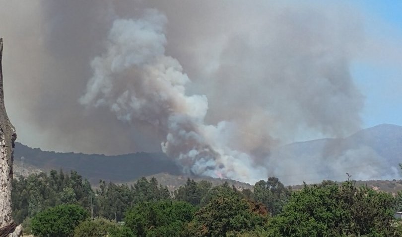 Senapred activa la alerta SAE y solicita evacuar el sector Alto El Pucalán de Puchuncaví por incendio forestal