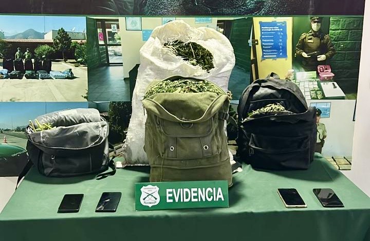 Controles en ruta 5 Norte de Nogales dejan cinco detenidos y más de 18 kilos de marihuana incautados