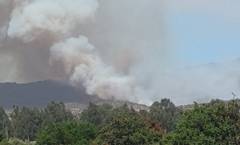 En combate se mantiene incendio forestal que ha consumido 65 hectáreas en Puchuncaví: Alerta Roja fue cancelada