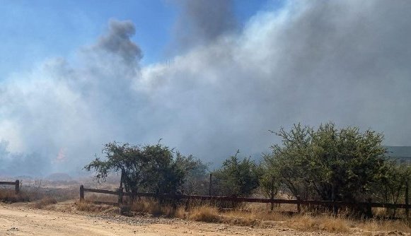 Senapred activa la mensajería SAE para evacuar el sector Hacienda Limache por incendio forestal