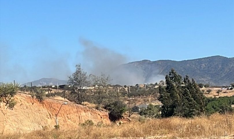 Declaran Alerta Roja para Limache por incendio forestal que se desarrolla cercano a sectores habitados
