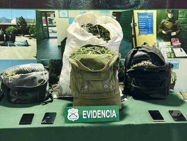Controles en ruta 5 Norte de Nogales dejan cinco detenidos y más de 18 kilos de marihuana incautados