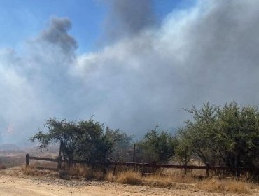 Senapred activa la mensajería SAE para evacuar el sector Hacienda Limache por incendio forestal
