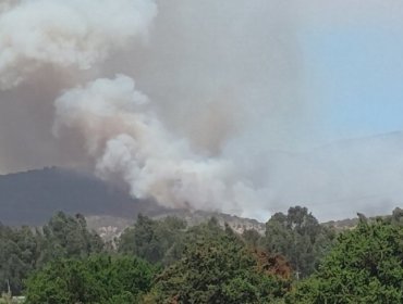 En combate se mantiene incendio forestal que ha consumido 65 hectáreas en Puchuncaví: Alerta Roja fue cancelada