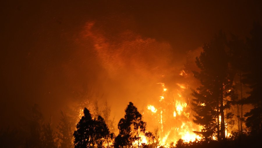 Declaran Alerta Temprana Preventiva para la región Metropolitana por amenaza de incendios forestales