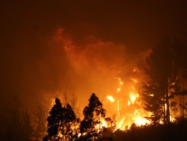 Declaran Alerta Temprana Preventiva para la región Metropolitana por amenaza de incendios forestales