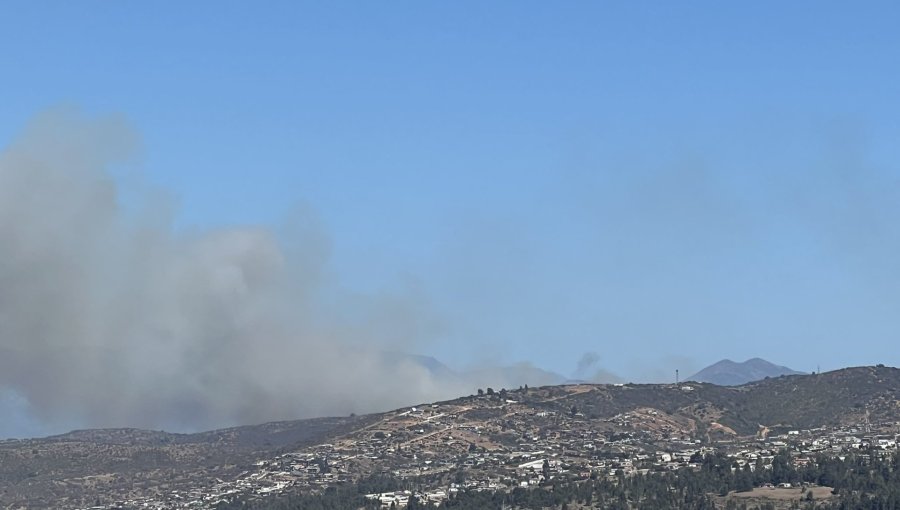 Incendio forestal afecta al sector del Fuerte Aguayo en Viña del Mar: Bomberos llamó a "no acercarse al lugar"