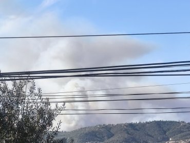 Senapred activa la mensajería SAE y solicita evacuar el sector Población Los Aromos 1 de Limache por incendio forestal