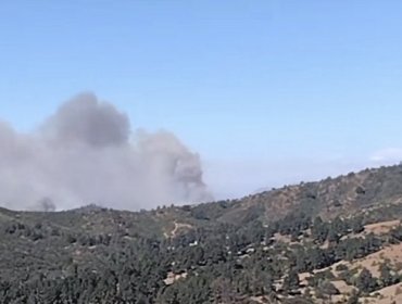 Declaran Alerta Amarilla para la región de Valparaíso debido a la "alta ocurrencia" de incendios forestales