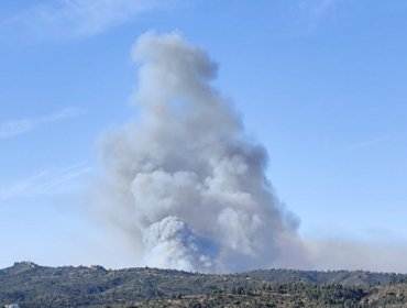 Declaran Alerta Roja para Limache por incendio forestal cercano a sectores habitados y a línea de alta tensión