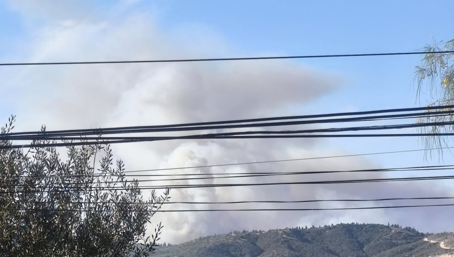 Senapred activa la mensajería SAE y solicita evacuar el sector Población Los Aromos 1 de Limache por incendio forestal