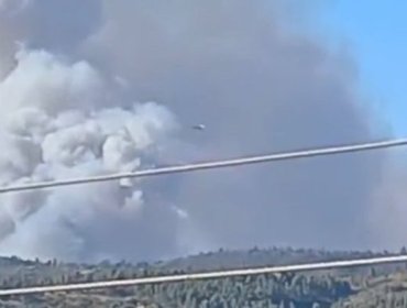 Senapred activa la mensajería SAE y solicita evacuar el sector El Portezuelo de Limache por incendio forestal