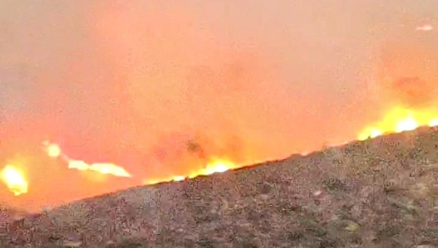 Senapred activa la mensajería SAE y solicita evacuar los sectores La Higuera y Los Espinos en Concón por incendio forestal