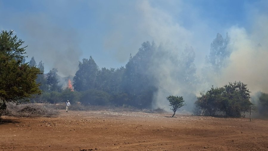 Declaran Alerta Amarilla para Nogales por incendio forestal que ha consumido 2 hectáreas