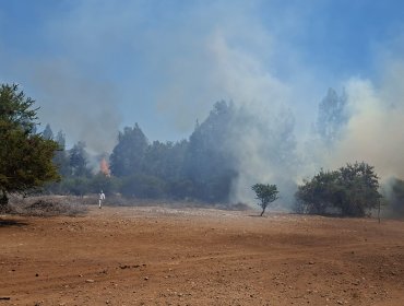 Declaran Alerta Amarilla para Nogales por incendio forestal que ha consumido 2 hectáreas