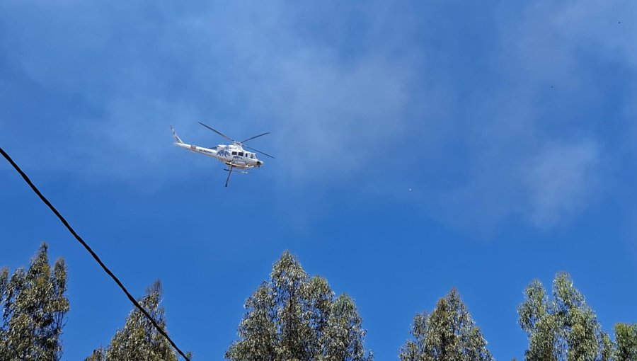 Incendios forestales en la comuna de Nogales fueron controlados: una vivienda resultó afectada