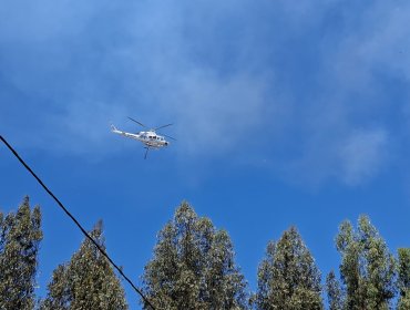 Incendios forestales en la comuna de Nogales fueron controlados: una vivienda resultó afectada