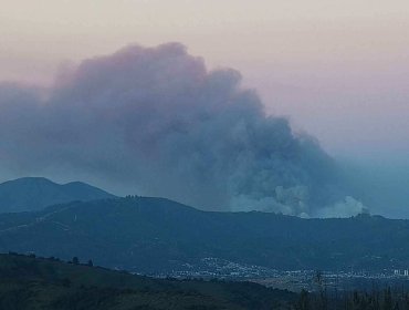 Incendio forestal que mantiene en Alerta Roja a las comunas de Concón y Limache se mantiene activo: no se reportan viviendas afectadas