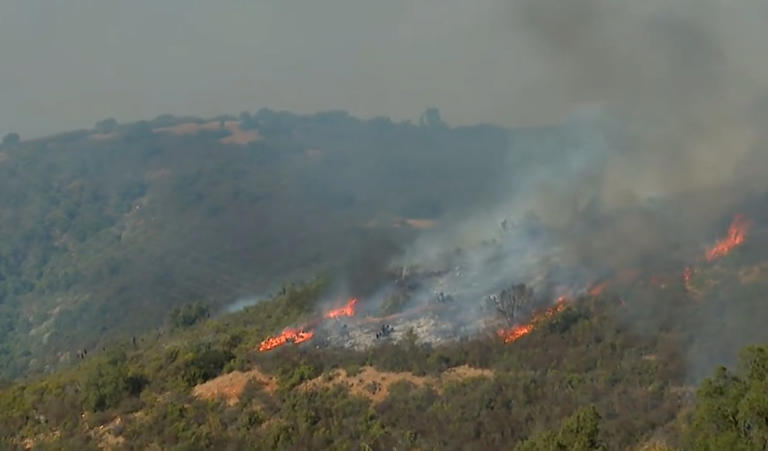 Autoridades refuerzan combate de incendio en Limache y Concón que afecta 250 hectáreas