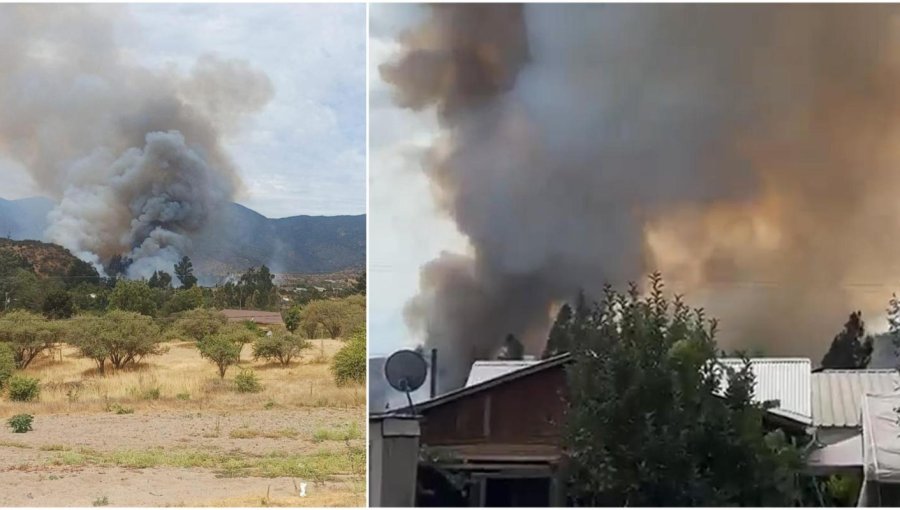 Incendio en Melipilla consume 3 hectáreas y ordenan evacuación de distintos sectores