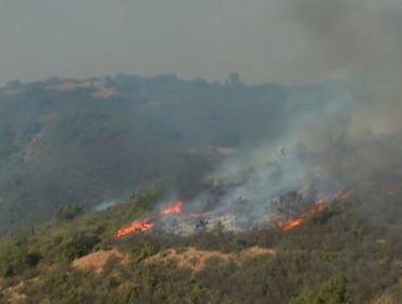 Autoridades refuerzan combate de incendio en Limache y Concón que afecta 250 hectáreas