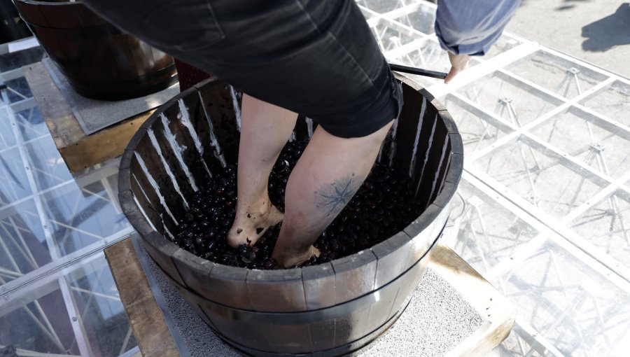 Comenzó la temporada de Fiestas de la Vendimia 2026 y se extenderá hasta fines de mayo