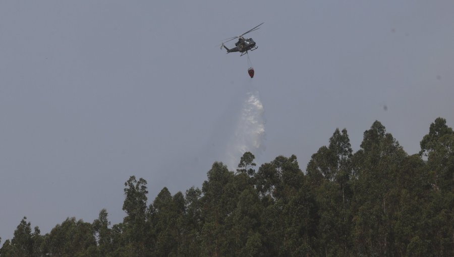 Declaran Alerta Roja en Los Andes por incendio forestal cercano a zonas habitadas