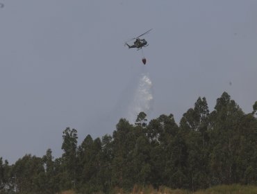 Declaran Alerta Roja en Los Andes por incendio forestal cercano a zonas habitadas