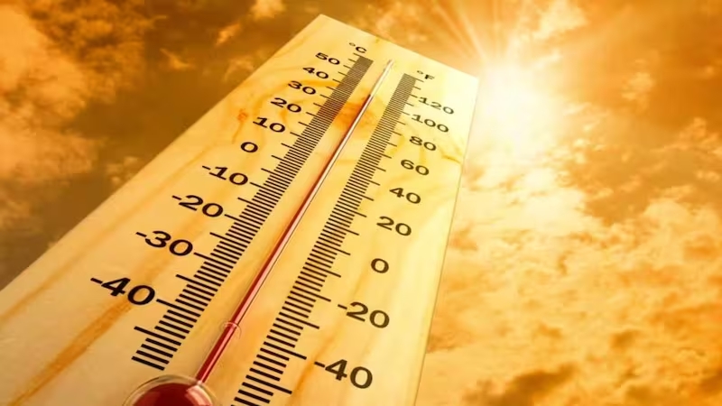 Alerta por calor extremo: temperaturas podrían llegar a 37°C en la zona centro-norte