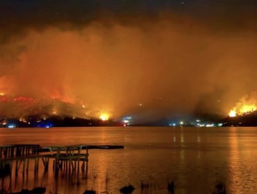 Región del Maule: Violento incendio forestal arrasa más de 200 hectáreas en Vichuquén