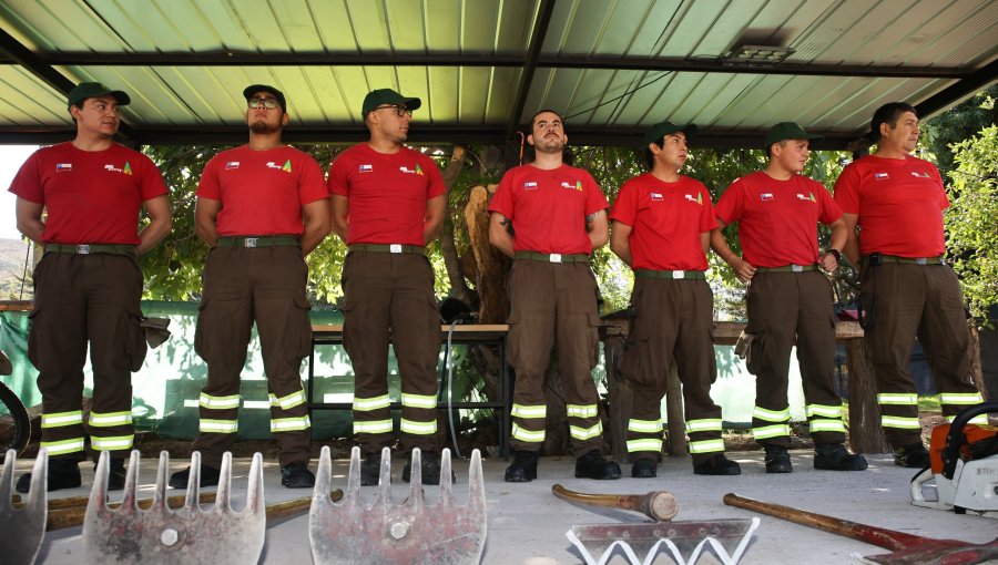 Biobío conmemora el Día del Brigadista Forestal con homenaje a combatientes y víctimas